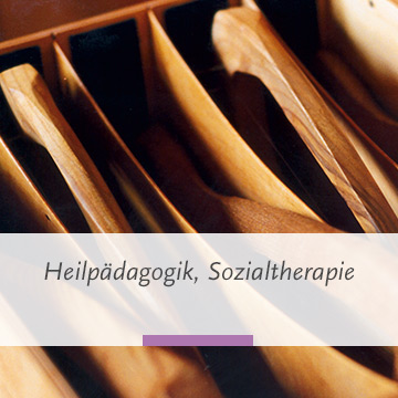 Heilpädagogik, Sozialtherapie