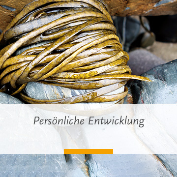 Persönliche Entwicklung