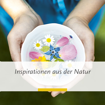 Inspirationen aus der Natur