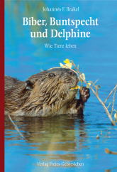 Biber, Buntspecht und Delphine 