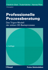 Professionelle Prozessberatung 