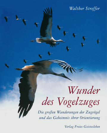 Wunder des Vogelzuges  Walther Streffer   