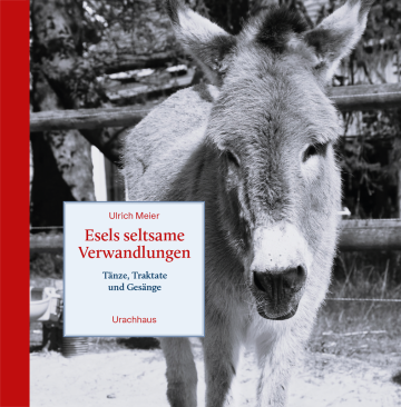 Esels seltsame Verwandlungen
  Ulrich Meier   