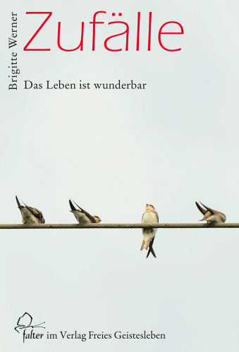 Artikelbild des Artikels “Zufälle “