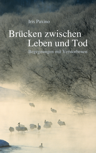 Artikelbild des Artikels “Brücken zwischen Leben und Tod “