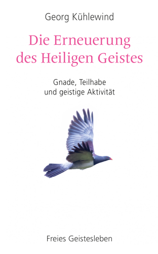 Artikelbild des Artikels “Die Erneuerung des Heiligen Geistes “