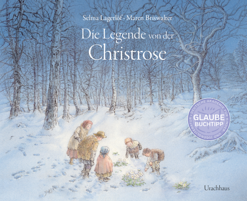 Artikelbild des Artikels “Die Legende von der Christrose “