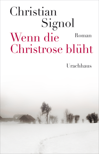 Artikelbild des Artikels “Wenn die Christrose blüht “