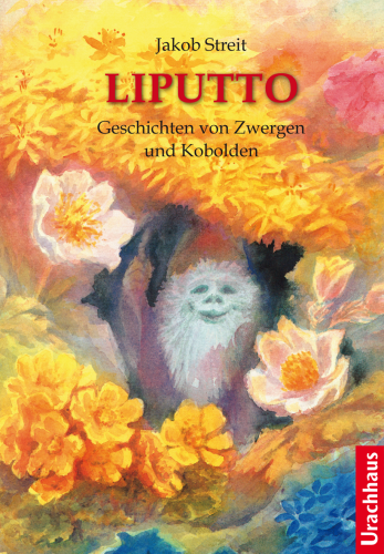 Artikelbild des Artikels “Liputto “