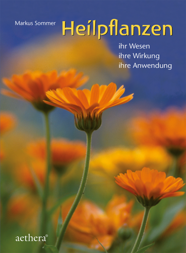 Artikelbild des Artikels “Heilpflanzen “