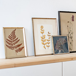 Abbildung11 Veilchen, Farn & Ringelblumen