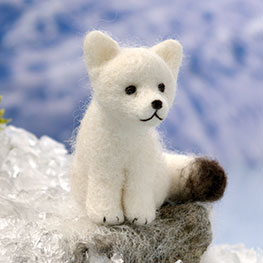 Abbildung1 Eisbär, Pinguin & Co.