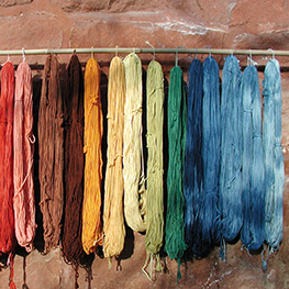 Abbildung1 Mit Pflanzen färben - ganz natürlich