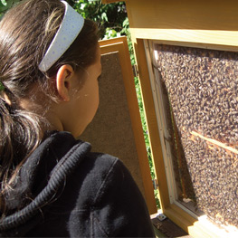 Abbildung1 Mit Kindern im Bienengarten