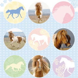 Abbildung1 Puzzle-Ponys