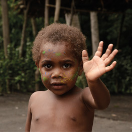 Abbildung1 Neuseeland, Papua und Vanuatu