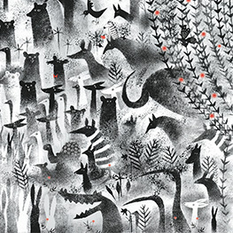 Abbildung1 Bär ist nicht allein