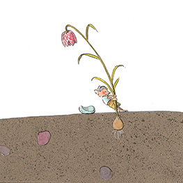 Abbildung1 Die Welt der Gorgel