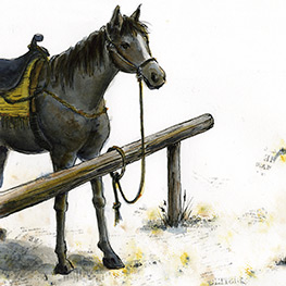 Abbildung1 Der Outlaw