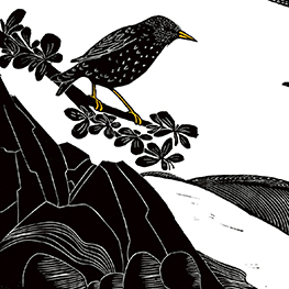 Abbildung1 Das Lied des Stars