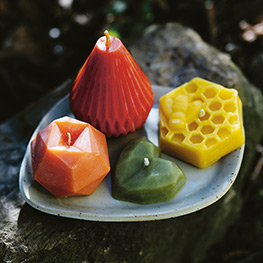 Abbildung1 Glanzlichter