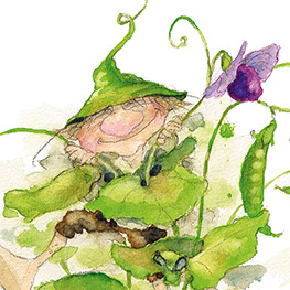 Abbildung1 Erbsenfee und Einhornschaf