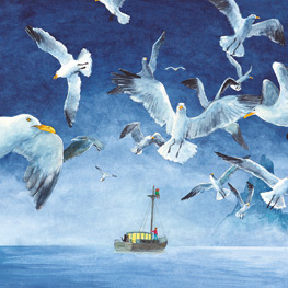 Abbildung1 Sterngucker