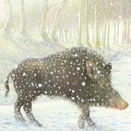 Abbildung2 Ein Märchen im Schnee