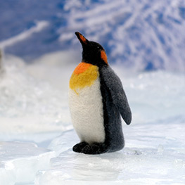 Abbildung2 Eisbär, Pinguin & Co.