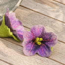 Abbildung2 Blütenträume