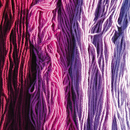 Abbildung2 Mit Pflanzen färben - ganz natürlich