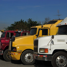 Abbildung2 Indios, Inka, Immigranten