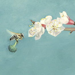 Abbildung2 Ziege mit Himbeere