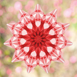 Abbildung2 Leuchtende Fenstersterne