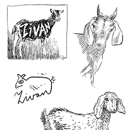 Abbildung2 Ohne Dich