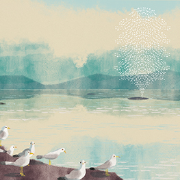 Abbildung2 Die Wale und wir