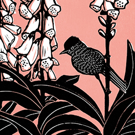 Abbildung2 Das geht nie vorbei – Vogelmotive Postkartenbuch