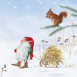 Abbildung2 Ole Winterwicht