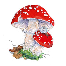 Abbildung2 Adventskalender Ole Winterwicht