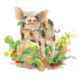 Abbildung2 Giesbert und der Gluckerbach