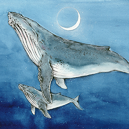 Abbildung2 Wer träumt im großen Ozean?