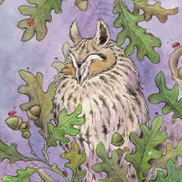 Abbildung2 Postkartenbuch »Träum was Schönes«