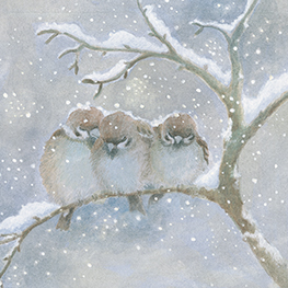 Abbildung2 Die Enten laufen Schlittschuh