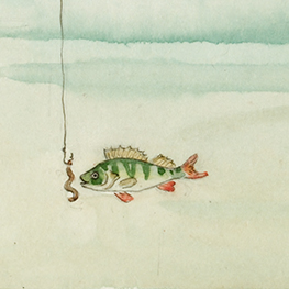 Abbildung2 Das neugierige Fischlein