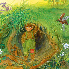 Abbildung2 Morchel, der kleine Troll