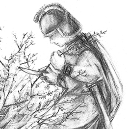 Abbildung2 Pflanzenmärchen