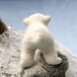 Abbildung3 Eisbär, Pinguin & Co.