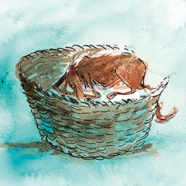 Abbildung3 Top Bob - dein Hund und Retter