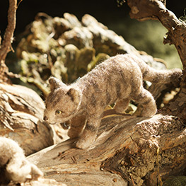 Abbildung3 Filzen von heimischen Tieren