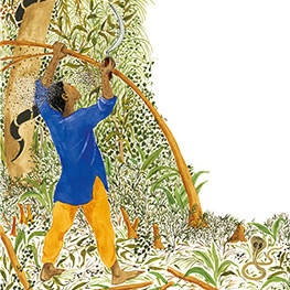 Abbildung3 Der Wundergarten